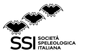 SSI